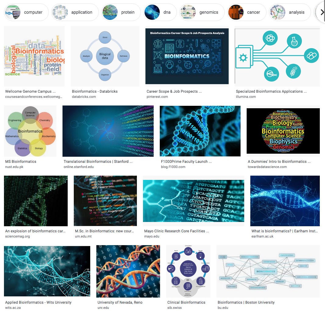 Nibbling away at bioinformatics education with NIBLSE Digital World